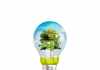 Eco-Friendly Innovations That Are Shaping the Sustainability Sector Eco-Friendly